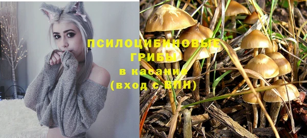 мяу мяу кристалл Корсаков
