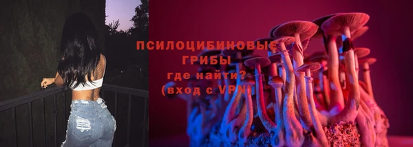 прущий лед Бронницы